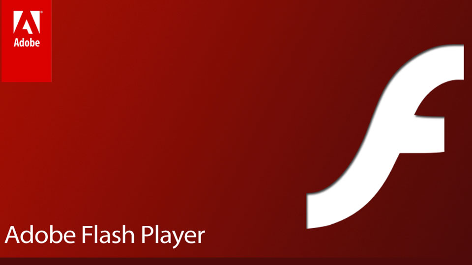 download new version adobe flash player